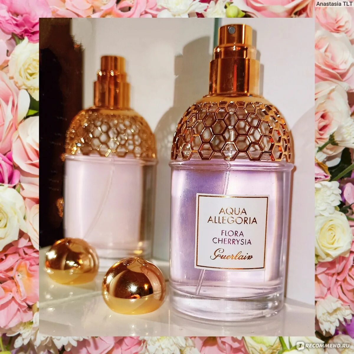 Aqua Allegoria Flora Cherrysia. Духи Aqua Allegoria Flora Cherrysia. Духи Guerlain Aqua Allegoria Flora Cherrysia.