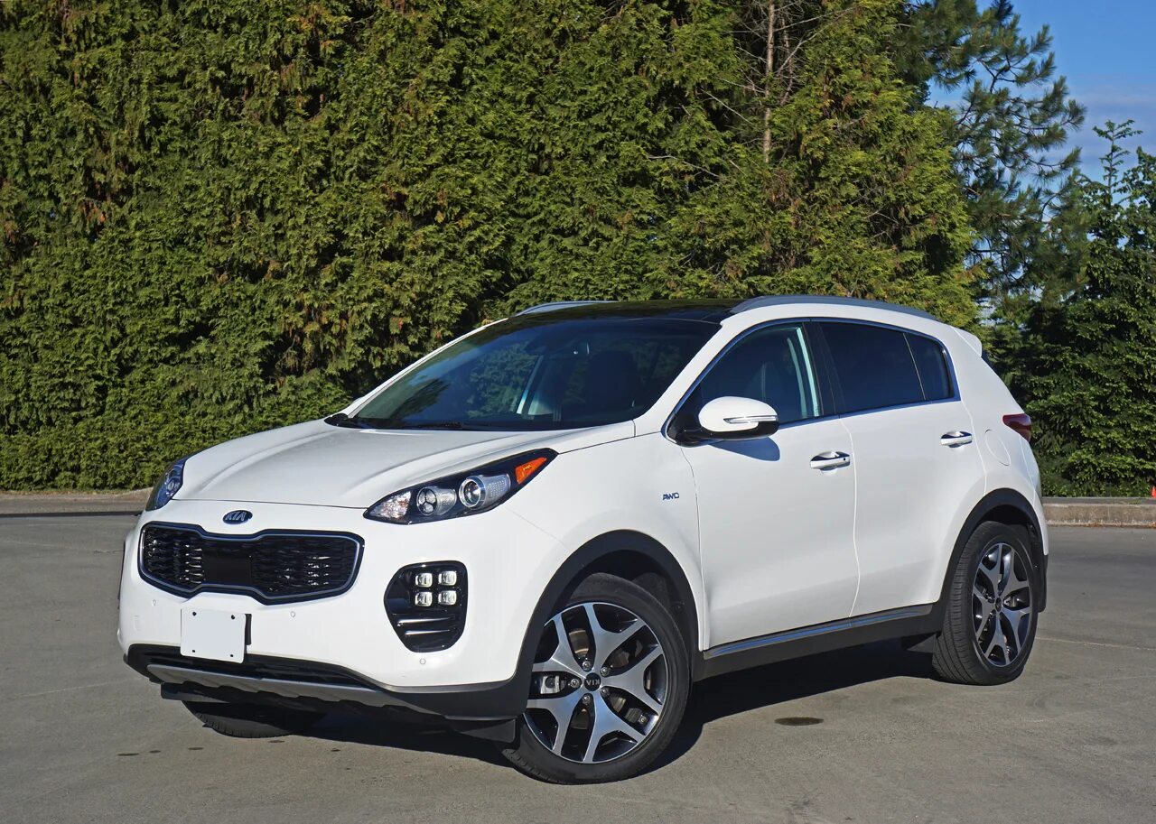 Kia Спортейдж 2017. Kia Sportage 2017 белый. Kia Sportage 4 2017. Кия Спортейдж белая 2017.