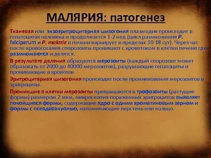 Рецидив малярии