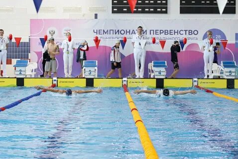 Чемпионат москвы по плаванию 2024