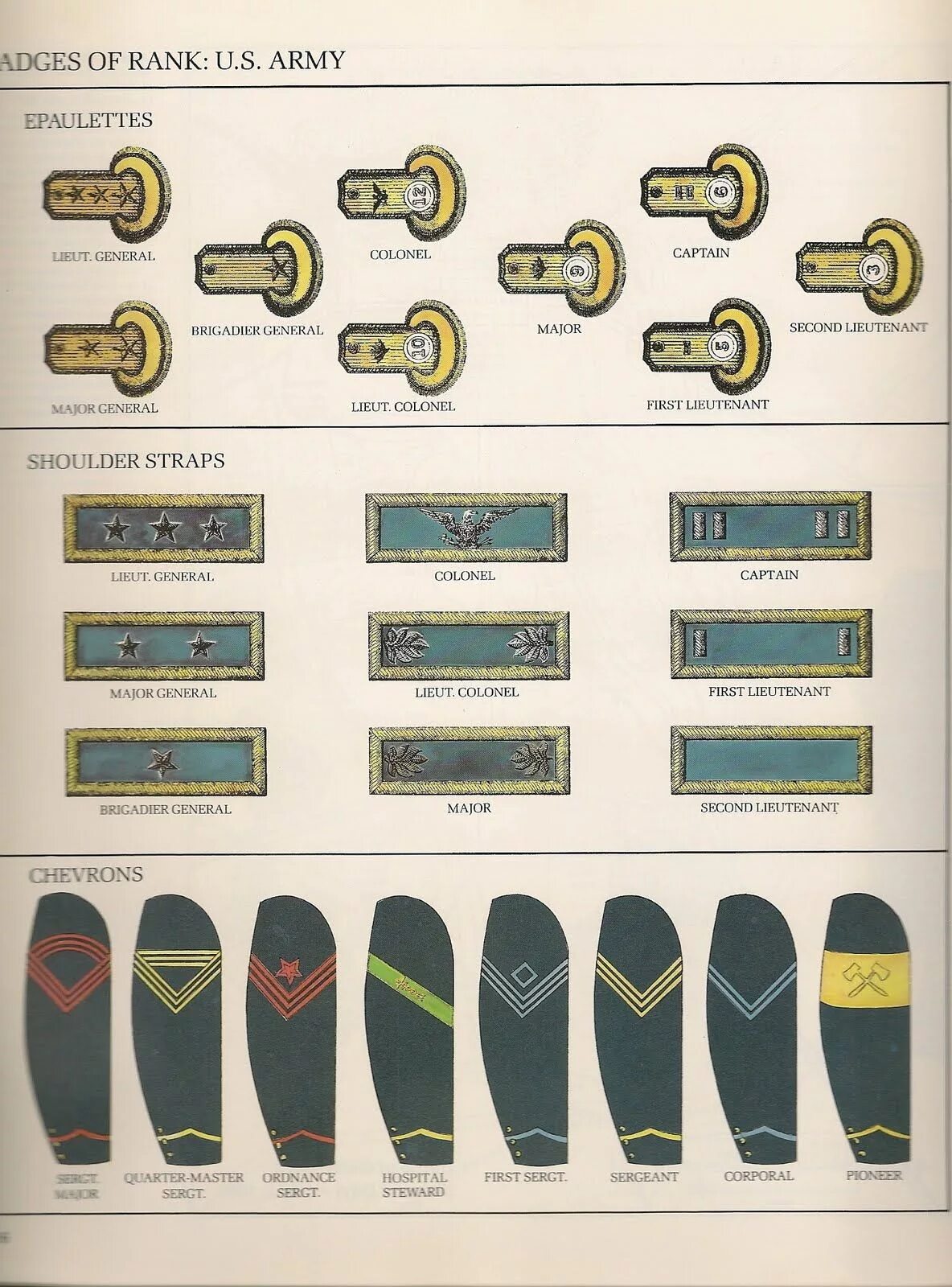 Army ranks. Знаки различия армии США. Американские погоны и звания. Знаки различия ВМС США.