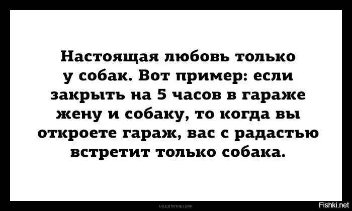 Забыть про жену и собаку