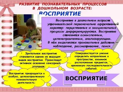 Познавательная активность в раннем возрасте
