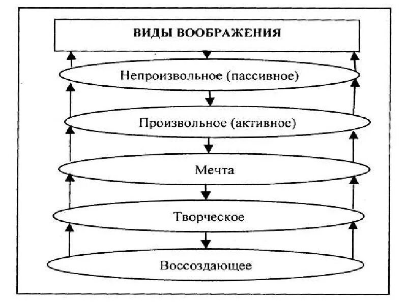 1 воображение виды воображения. Виды воображения. виды произвольного воображения. виды воображения в психологии. произвольное воображение примеры.