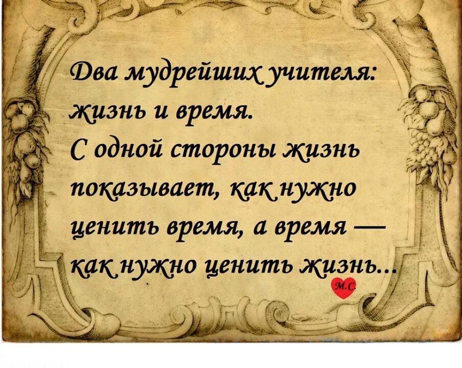 Цитаты про людей со смыслом. Мудрые цитаты. Умные высказывания. Умные цитаты. Мудрость жизни.