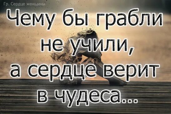 Жизнь научила песня. Чему бы грабли не учили а сердце. Чего бы грабли не учили а сердце верит в чудеса. Чему бы грабли не учили а сердце верит в чудеса картинки. Грабли а сердце верит в чудеса.