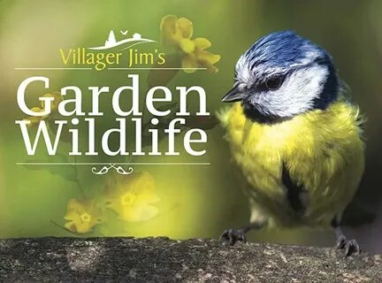 Wildlife garden