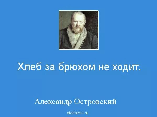 Белое брюшко не обращал внимания на писк