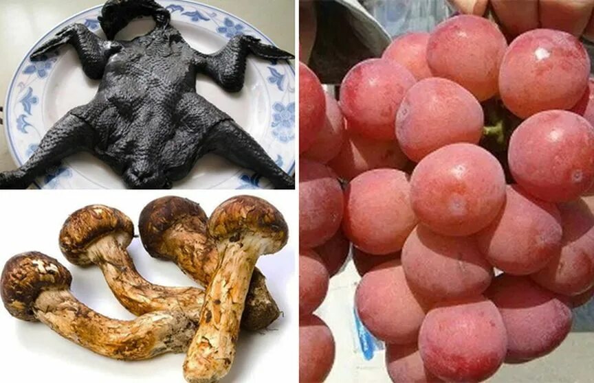 самые редкие продукты. шоколад со вкусом перца. артишок с мясом. самые необычные продукты питания. мармайт косметика.