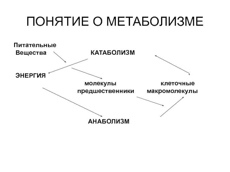 Обмен веществ питательные вещества. Жиры белки состав пищевых веществ. Превращение пищевых веществ в органах пищеварения таблица. Обменные процессы в организме 8 класс биология. Понятия о метаболизме, катаболизме и анаболизме.
