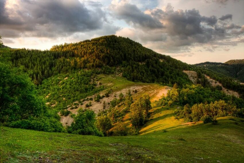 Родопы. Родопи горы. Родопы Болгария. Родопы (горы). Дунайская равнина в Болгарии.