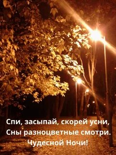 Парк ночью осень