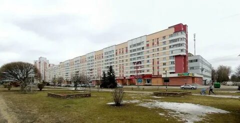 Гомель 97
