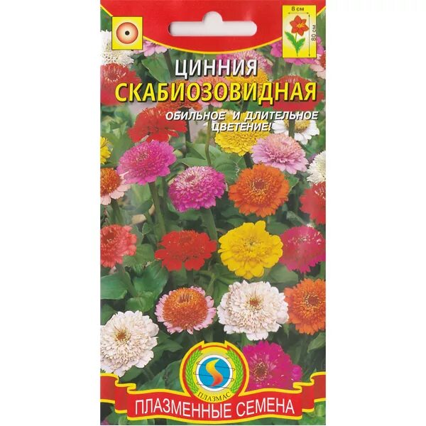 Циния свои семена. Циния карликовая конфетти. семена цинии низкорослой. циния вернисаж каприс. циния мисс вильмонт.