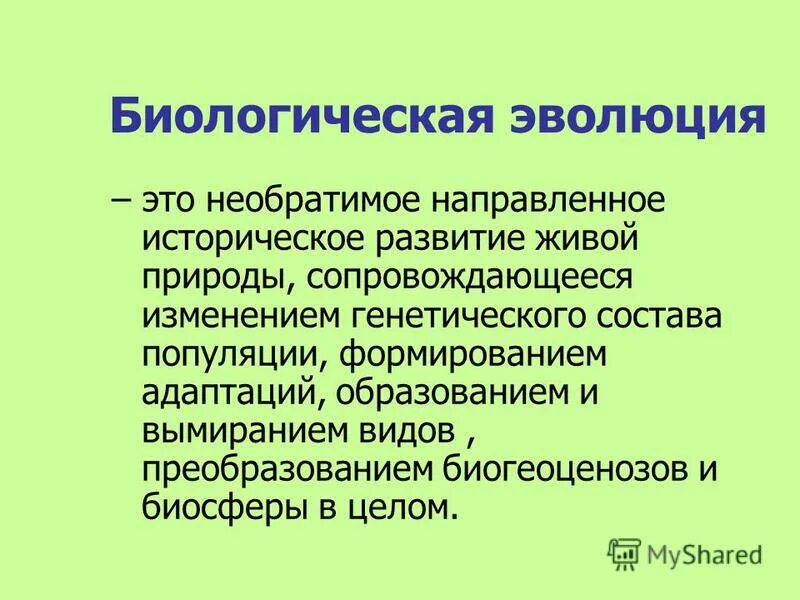 Значение биологической эволюции. Биологическое "значение" конвергенции. Характеристика этапов биологической эволюции. Этапы биологической эволюции. Этапы биологического развития.