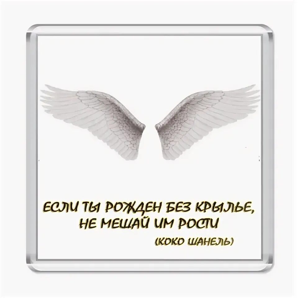 Пусть вырастут крылья. Пусть у тебя вырастут Крылья. Пусть от счастья вырастут Крылья картинка. Заклинание чтобы выросли Крылья. Выражение Крылья вырастут.