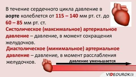 В момент сокращения