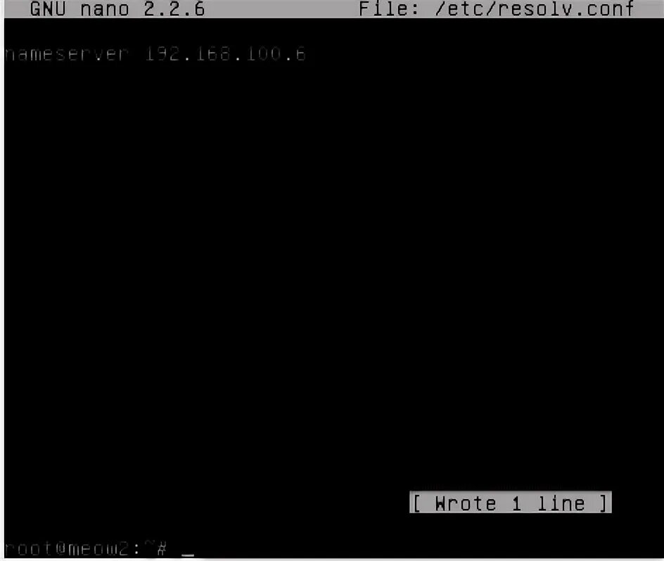 Dns resolv conf. Dns resolv conf