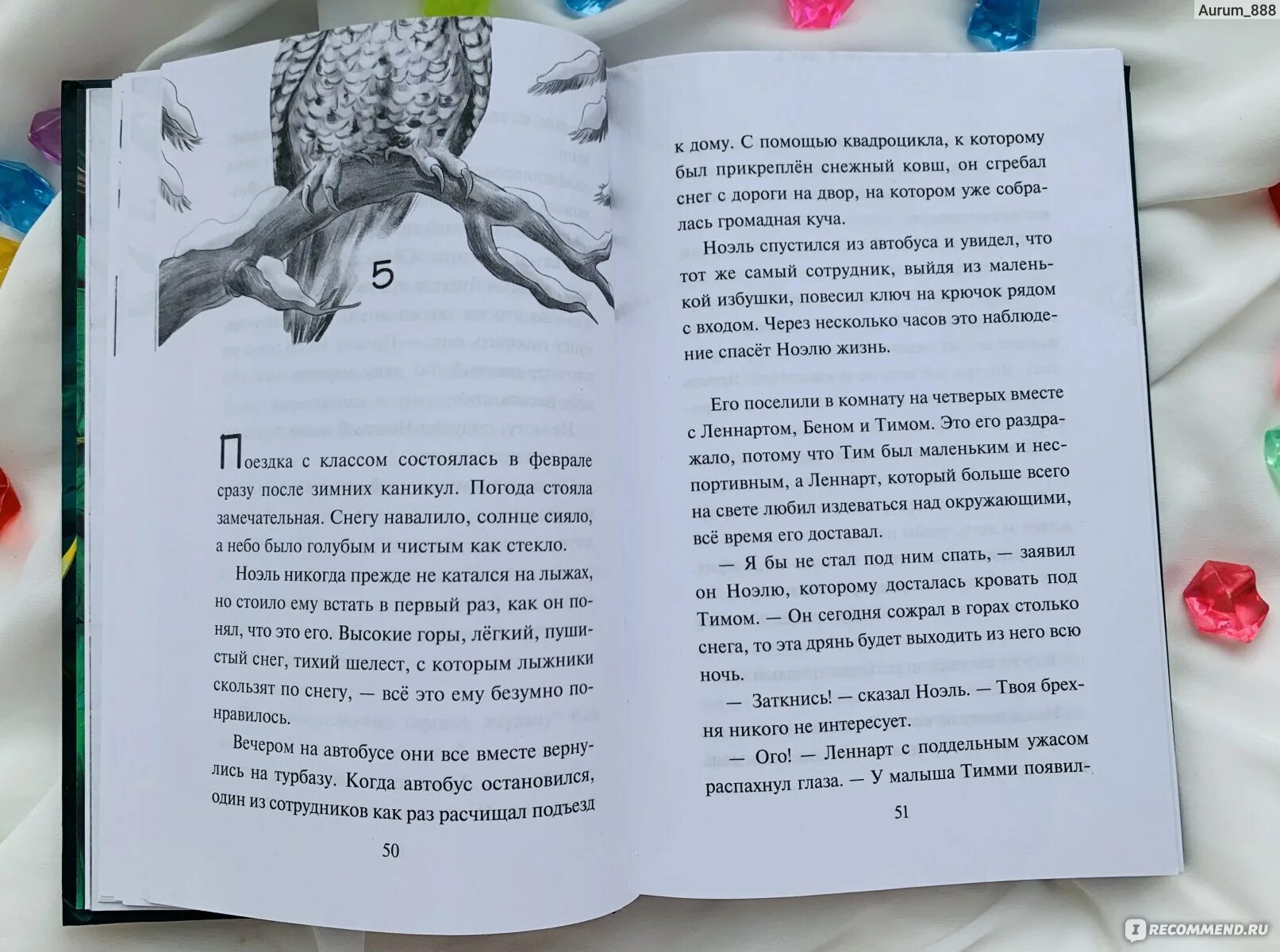 Интернат злых животных. Интернат злых животных