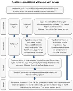 Срок обжалования решения в кассационной инстанции