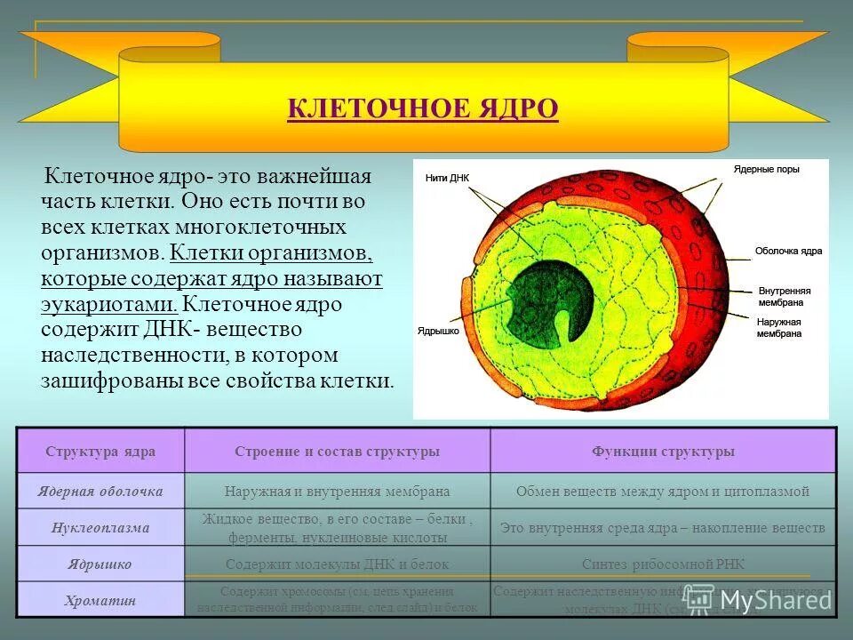 Внутренняя структура содержит. Структурная схема микропроцессора пк. Разработка структуры сайта. Структура сайта. Плоская организационная структура компании.