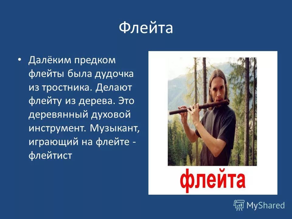 Предки флейты. Доклад о флейте. Презентация на тему флейта. История флейты.