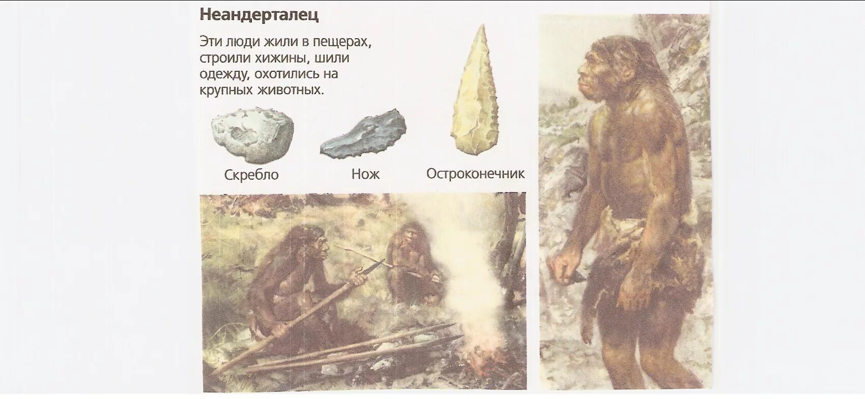 Древние люди определение. Древний человек неандерталец кроманьонец. неандерталец предки человека. древний человек неандерталец образ жизни. древнейшие люди 5 класс.
