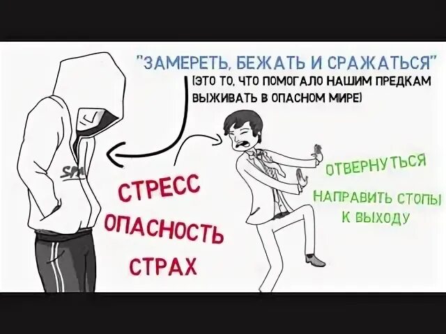 Замереть бежать сражаться. Реакция замри. Беги стресс реакция замри