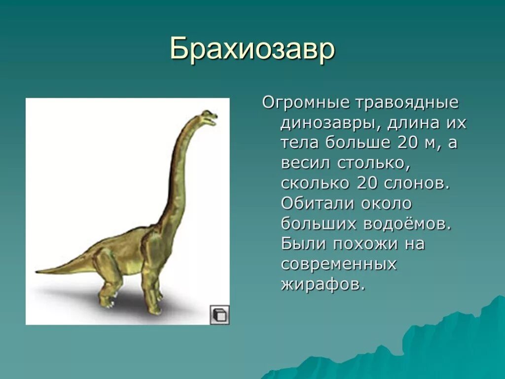 Как назывались маленькие динозавры. Рассказ о динозавре Брахиозавр. Травоядные динозавры Брахиозавр. Доклад про динозавров. Описание динозавров.