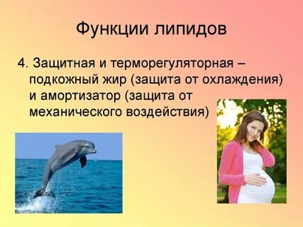 Жир защита