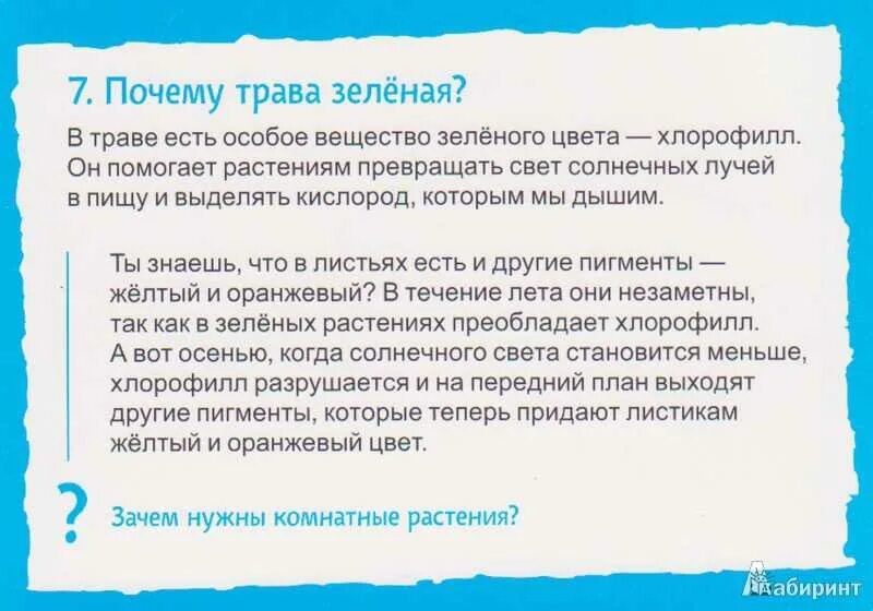 Почему растения зеленые. Почему трава. Почему трава. Почему трава зелёная для детей. Почему трава зеленая и еще 100 детских почему.