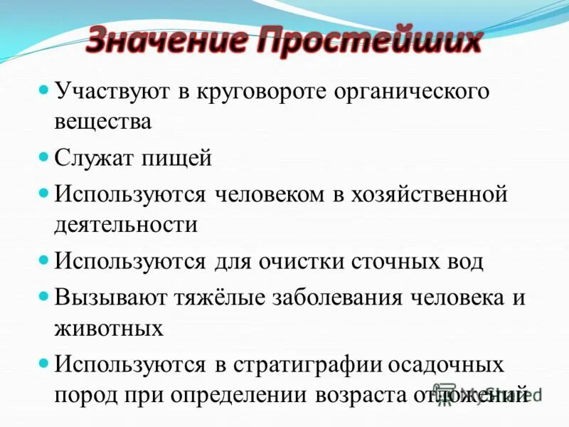 Каково значение простейших. Значение простейших 7 класс. Значение простейших биология. Схема значение простейших. Значение групп простейших