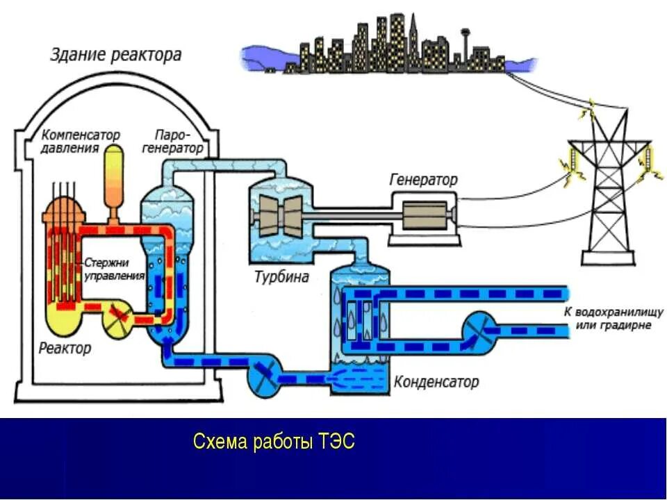 Принципы ядерной физики. Гомогенный ядерный реактор схема. Схема ядерного реактора физика 9 класс. Основные элементы ядерного реактора схема. Схема ядерного реактора физика 9.