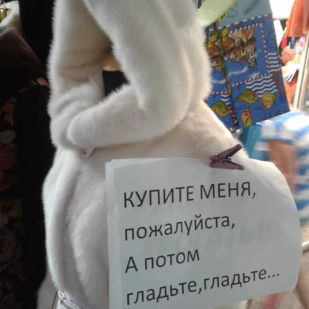 Реклама пожалуйста пожалуйста. Смешные слоганы в рекламе одежды. смешные слоганы на рынке одежды. смешная реклама одежды приколы. реклама для меня.