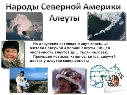 К коренным жителям северной америки относятся эскимосы