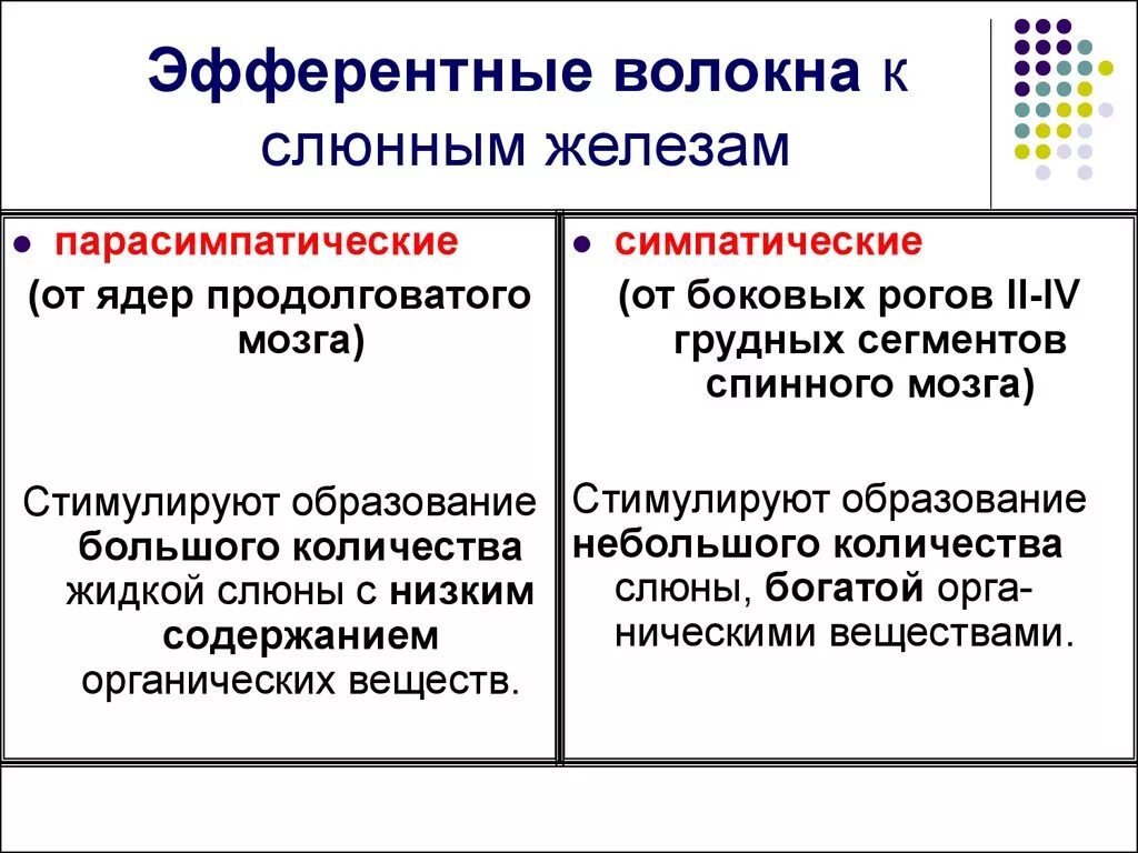 Цепь передачи возбуждения в сетчатке. Нервные волокна проводящие импульсы из цнс. Эфферентный нейрон. Из чего состоят эфферентные волокна. Афферентные нервные волокна.
