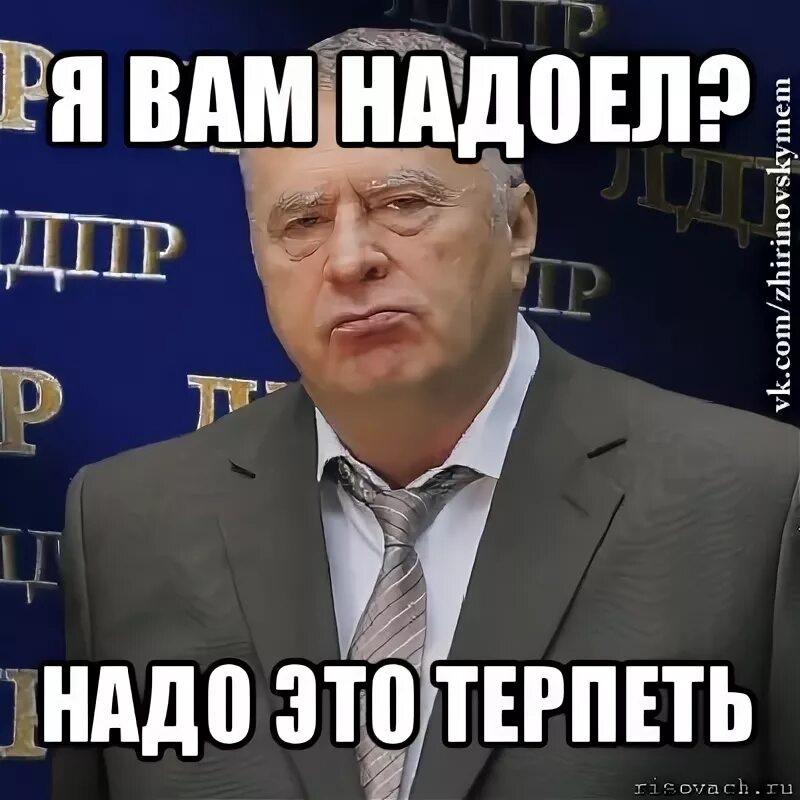 Жириновский терпеть. Хватит это терпеть Жириновский. Мемы с Жириновским хватит это терпеть. Хватит это терпеть Мем. Хватит это терпеть плакат.