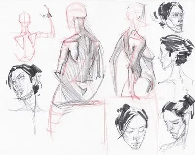 Body study