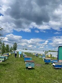 Пасека гатуповых
