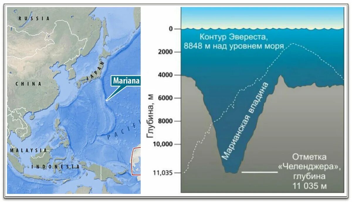 Какая самая глубокая точка мирового океана. Тихий океан глубина Марианская впадина. Бездна Челленджера в Марианской впадине. Марианская впадина глубина 11022. Тихий океан Марианский желоб.