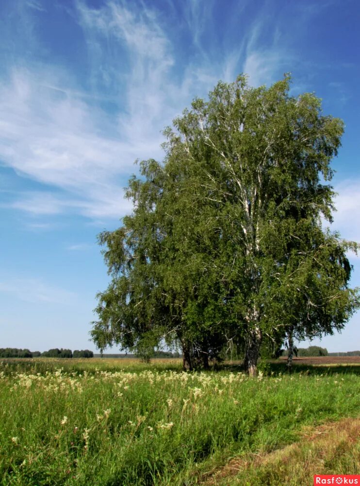 Фотография родного края. Родной край. Красота родного края. Родные края. Родной край картинки.