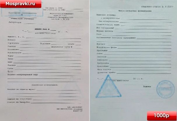 Анализ кала форма 219/у. Направление на яйца глистов. Анализ кала бланк. Бланк ,, исследование кала на яйцеглист,,.