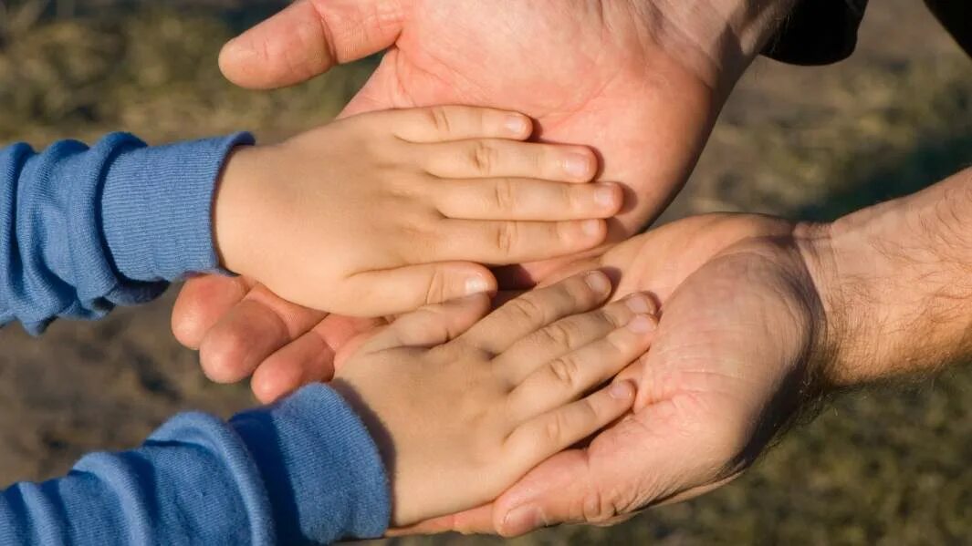 Рукопожатие отца и сына. Рука отца и сына. Поддержка отца для сына. Папа жмет руку сыну. Handed family
