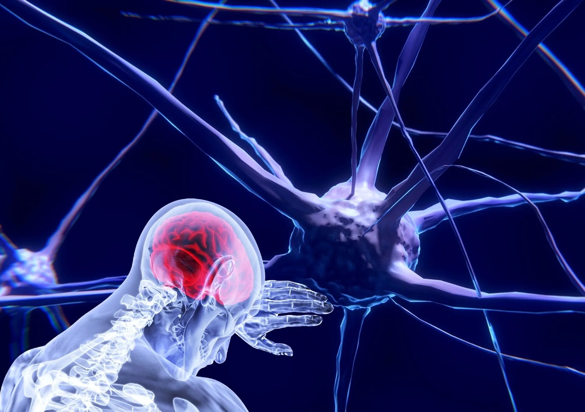 Мозг человека состоит из нейронов. Нервная система человека Нейрон. Нейрон клетка головного мозга. Нейронные клетки головного мозга. Нейронные связи в мозге.