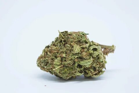 Haze fruits