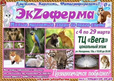 Выставка животных бийск созвездие