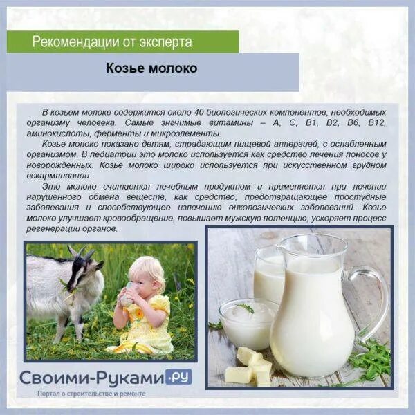 Сколько пить козьего молока. Козье молоко. Козье молоко для новорожденных. Козье молоко для детей 1 года. Козье молоко для грудничка.