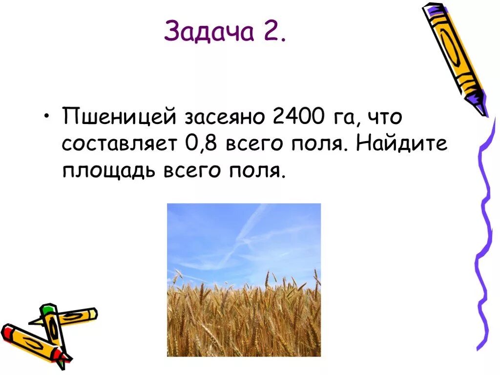 Площадь поля 16 км2 пшеницей засеяли. Найди площадь поля. Пшеницы засеяли 2400 гектаров что составило. Чем засеивают поля 4 класс.