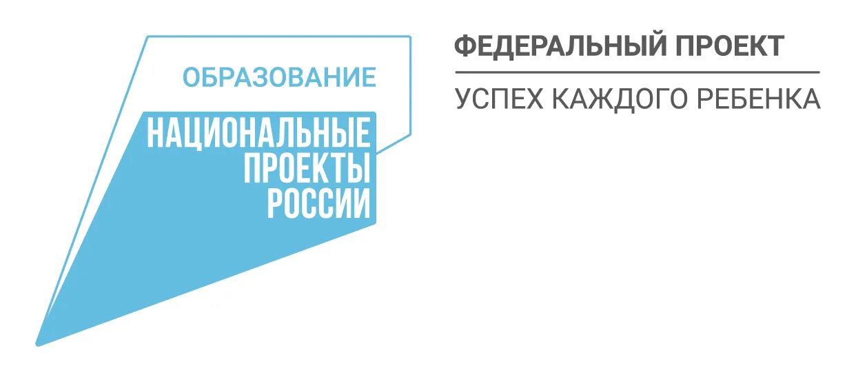 Национальные проекты России. Нацпроект Малое и среднее предпринимательство. Национальный проект образование успех каждого ребенка логотип. Национальный проект образование. Национальные школы рф