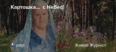 Рецепты травницы зайцевой елены федоровны книга